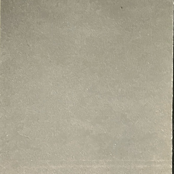 America’s rising STAR 
PALLADIUM - Picture 2 of 2